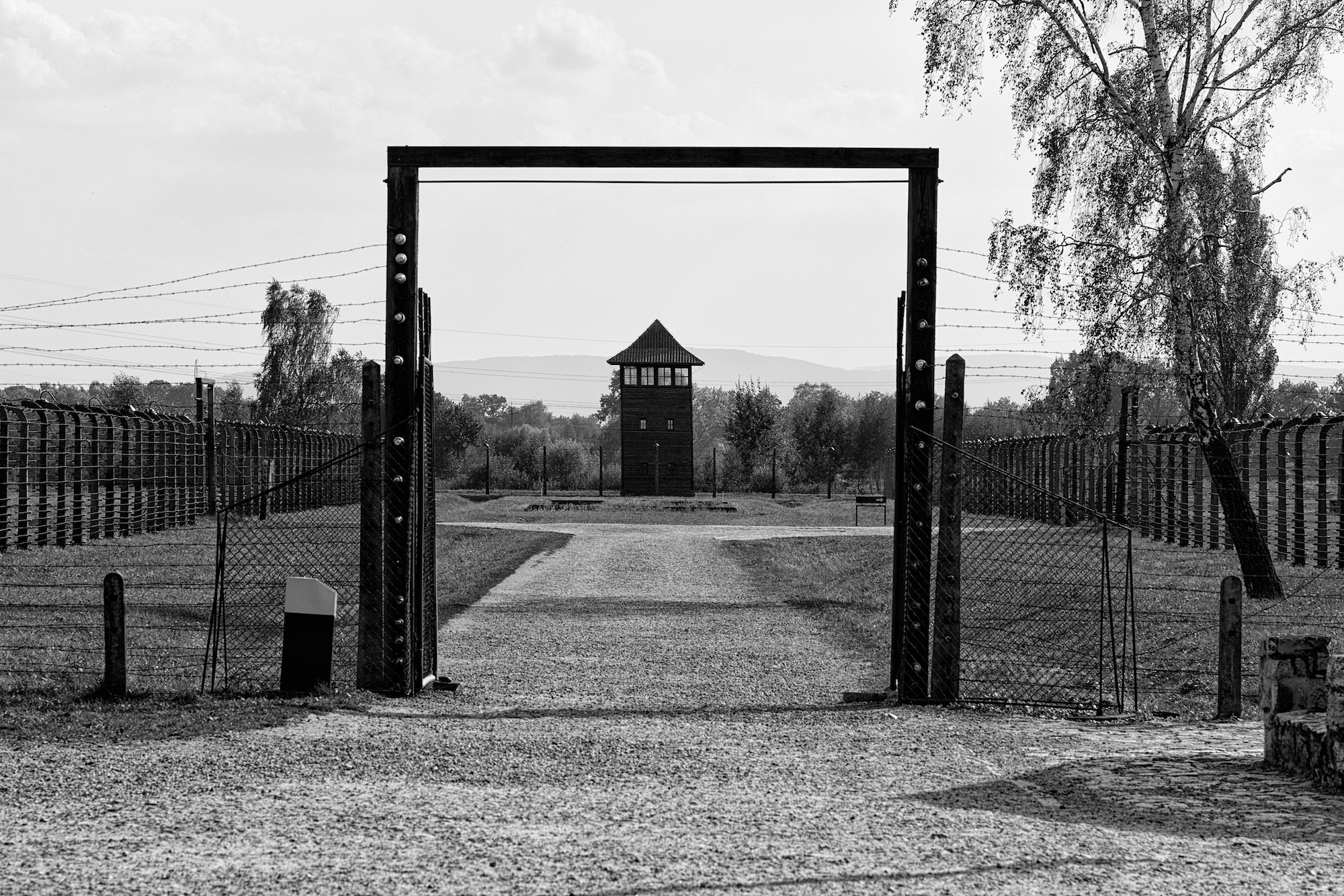 Travel: Auschwitz-Birkenau ‹ The Web Basement